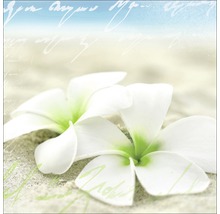 Dekorative Papierservietten mit Frangipani Blumen Motiv