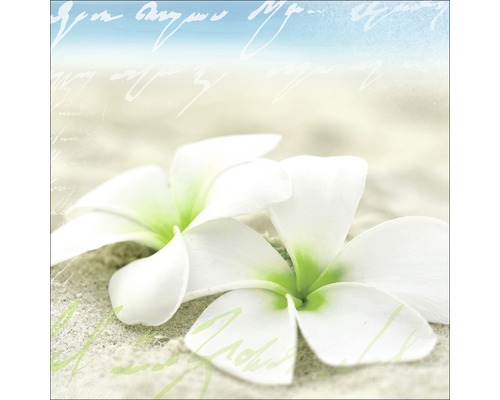 Dekorative Papierservietten mit Frangipani Blumen Motiv
