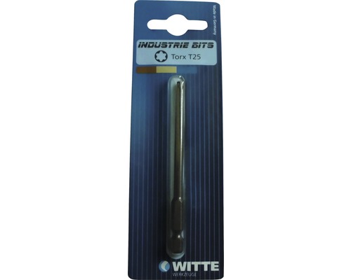 Industrie Bits Torx T25 Werkzeugbit in Verpackung