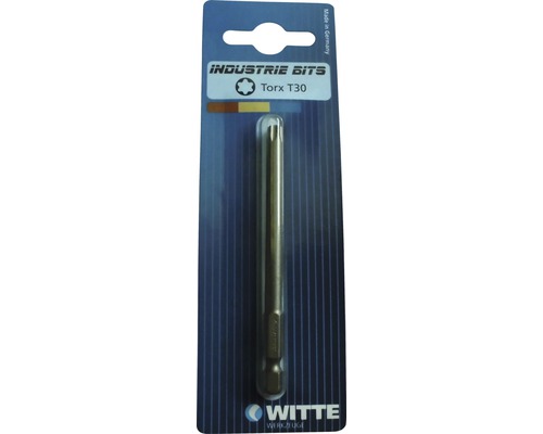 Industrie Bits Torx T30 Schrauberbit