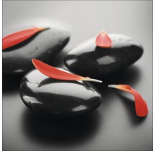 Galets noirs avec pétales de fleurs
