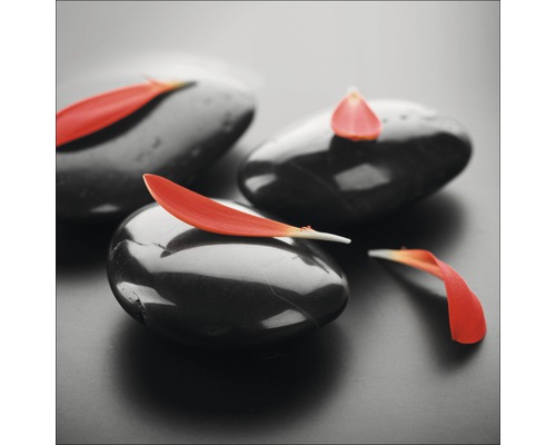Galets noirs avec pétales de fleurs