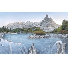 Bergsee mit Felsen und Baumstämmen im Wasser