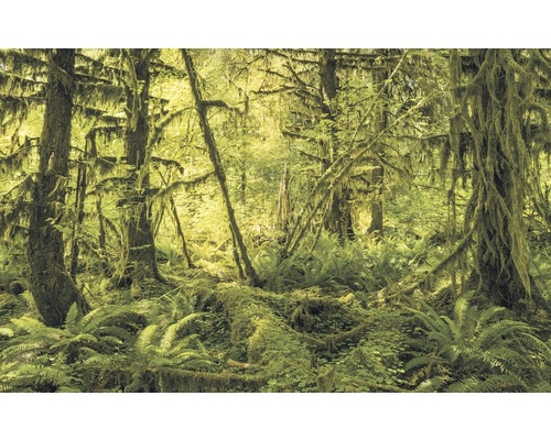 Papier peint panoramique intissé SH040-VD4 Stefan Hefele Ed 1 Ancient World 4 pces 400 x 250 cm Papier peint panoramique intissé SH040-VD4 Stefan Hefele Ed 1 Ancient World 4 pces 400 x 250 cm
