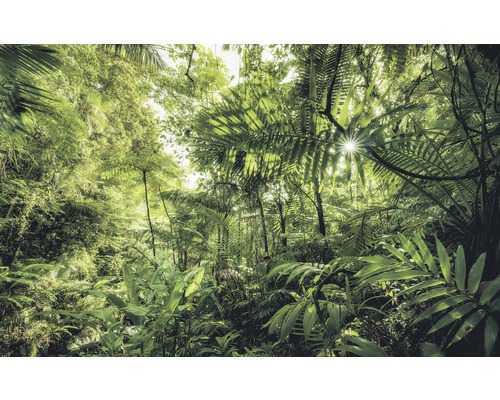 Papier peint panoramique intissé SH041-VD4 Stefan Hefele Ed 1 Into The Jungle 4 pces 400 x 250 cm