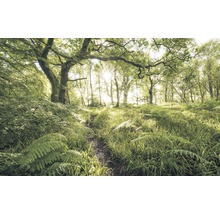 Fototapete Vlies SH045-VD4 Stefan Hefele Ed 1 Mystic Path 4-tlg. 400 x 250 cm