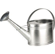 Gießkanne Zink 10 L silber
