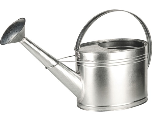 Arrosoir galvanisé avec pomme d''arrosage et poignée