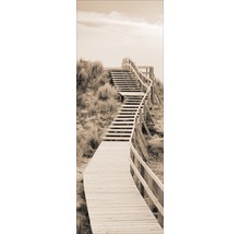 Passerelle en bois avec escalier dans un paysage de dunes