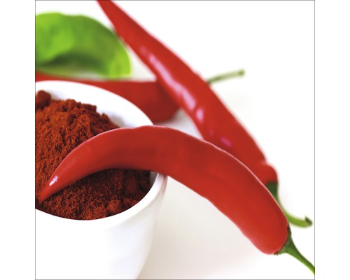 Chilipulver in einer weißen Schale mit roten Chilischoten