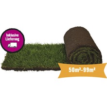 Rolle Rollrasen für den Garten