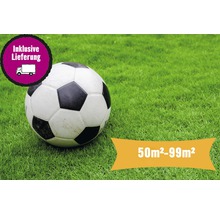 Fußball auf Rasen, inklusive Lieferung für 50 bis 99 Quadratmeter