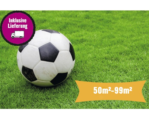 Rollrasen Profi-Sportrasen Bestellmenge 50 - 99 m² tagesfrisch geschält, extrem belastbar und trittfest, höherer Pflegeaufwand, ideal für Sportanlagen, für sonnige Lage Fußball auf Rasen, inklusive Lieferung für 50 bis 99 Quadratmeter