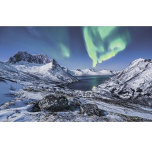 Winterlandschaft mit Bergen, See und Polarlicht