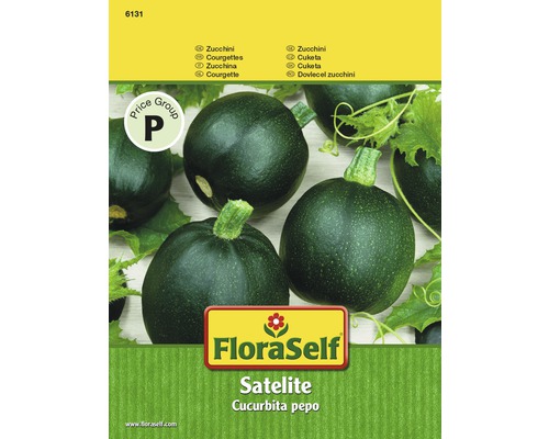 Courgette 'Satelite' FloraSelf semences de légumes hybrides F1