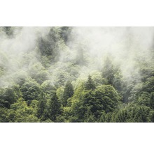 Papier peint panoramique intissé SH061-VD4 Stefan Hefele Ed 1 Forest Land 4 pces 400 x 250 cm