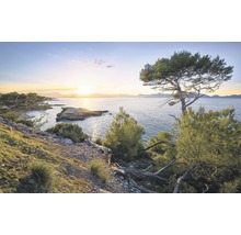 Küstenlandschaft mit Bäumen und Meerblick im Sonnenlicht