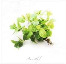 Glasbild Minze 30x30 cm GLA687