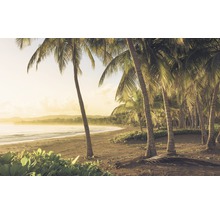 Papier peint panoramique intissé SH064-VD4 Stefan Hefele Ed 1 Golden Lands 4 pces 400 x 250 cm