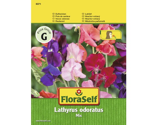 Pois de senteur 'Mix' FloraSelf semences non-hybrides graines de fleurs