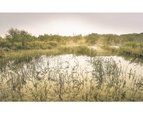 Papier peint panoramique intissé SH065-VD4 Stefan Hefele Ed 1 Morning View II 4 pces 400 x 250 cm