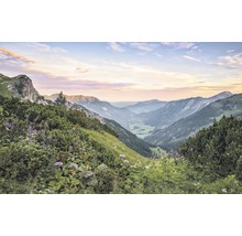 Landschaft mit Bergen, Vegetation und Tal