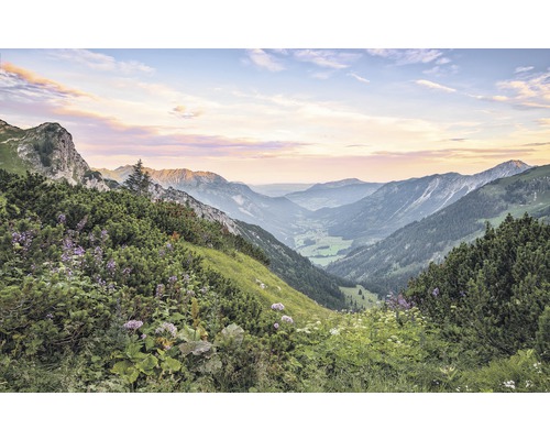 Papier peint panoramique intissé SH066-VD4 Stefan Hefele Ed 1 Alps 4 pces 400 x 250 cm Papier peint panoramique intissé SH066-VD4 Stefan Hefele Ed 1 Alps 4 pces 400 x 250 cm