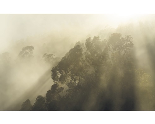 Fototapete Vlies SH067-VD4 Stefan Hefele Ed 1 Misty Mountain 4-tlg. 400 x 250 cm