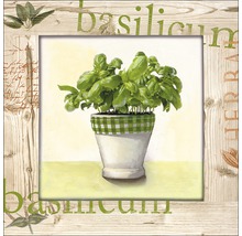 Image décorative de basilic dans un cadre en bois