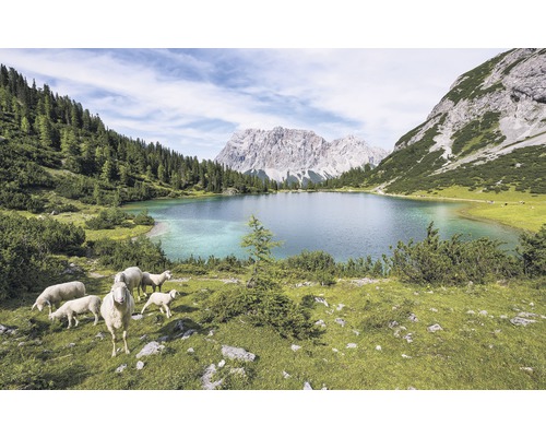 Fototapete Vlies SH070-VD4 Stefan Hefele Ed 1 Paradise Lake 4-tlg. 400 x 250 cm