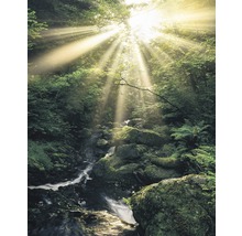 Fototapete Vlies SH075-VD2 Stefan Hefele Ed. 1 Divine 2-tlg. 200 x 250 cm