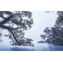 Landschaft mit Bäumen, die sich zu einem See erstrecken