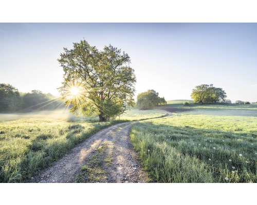 Papier peint panoramique intissé SH084-VD4 Stefan Hefele Ed 1 Day in Paradise 4 pces 400 x 250 cm