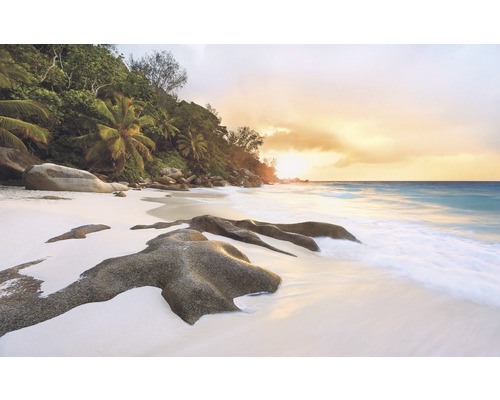 Papier peint panoramique intissé SH089-VD4 Stefan Hefele Ed 1 Nature 4 pces 400 x 250 cm Papier peint panoramique intissé SH089-VD4 Stefan Hefele Ed 1 Nature 4 pces 400 x 250 cm
