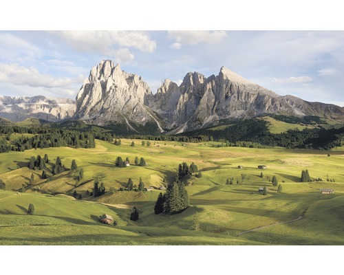 Papier peint panoramique intissé SH090-VD4 Stefan Hefele Ed 1 Alpes 4 pces 400 x 250 cm Papier peint panoramique intissé SH090-VD4 Stefan Hefele Ed 1 Alpes 4 pces 400 x 250 cm