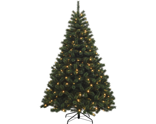 Sapin de Noël artificiel sapin de Noël Chamonix Lafiora éclairé h 215 cm vert avec LED