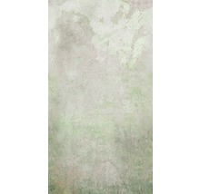Papier peint panoramique intissé 105399 Pure Nature béton vert 3 pièces 150 x 280 cm