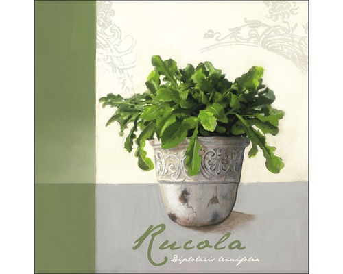 Gemälde von Rucola in einem Topf