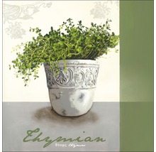 Gemälde mit Thymian in einem verzierten Topf