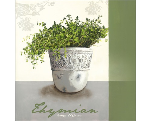 Gemälde mit Thymian in einem verzierten Topf