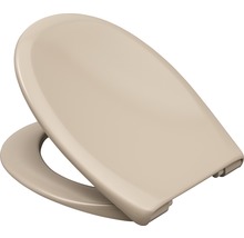 Abattant de WC en plastique