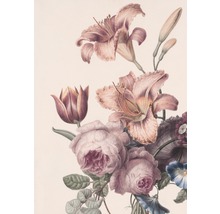 Papier peint panoramique intissé 105401 Soft Blush roses en fleurs 4 pièces 200 x 280 cm