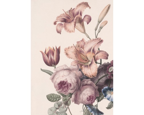 Papier peint panoramique intissé 105401 Soft Blush roses en fleurs 4 pièces 200 x 280 cm