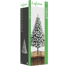 Emballage d''un sapin de Noël artificiel enneigé de Lafiora