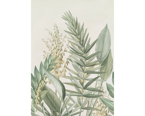 Papier peint panoramique intissé 107923 Cosy Balance Yucca 4 pces 200 x 280 cm Image de différentes plantes vertes