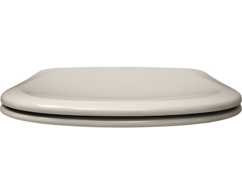 Toilettendeckel aus Kunststoff