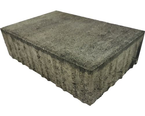 Pavé rectangulaire iWay D-Tec quartzite 30 x 20 x 8 cm