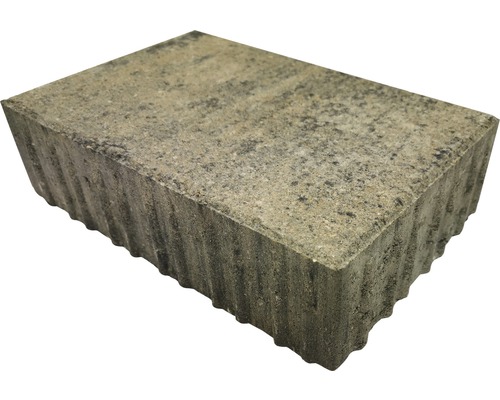Pavé rectangulaire iWay D-Tec calcaire coquillier 30 x 20 x 8 cm
