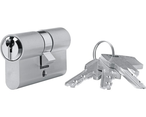 Cylindre profilé professionnel 40/40 pour portes d'entrée plastique et aluminium Cylindre profilé avec clés