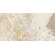 Feinsteinzeug Wand- und Bodenfliese Ardesia Almond 32 x 62,5 cm-thumb-2